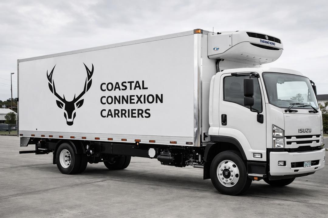 Logistics Professional